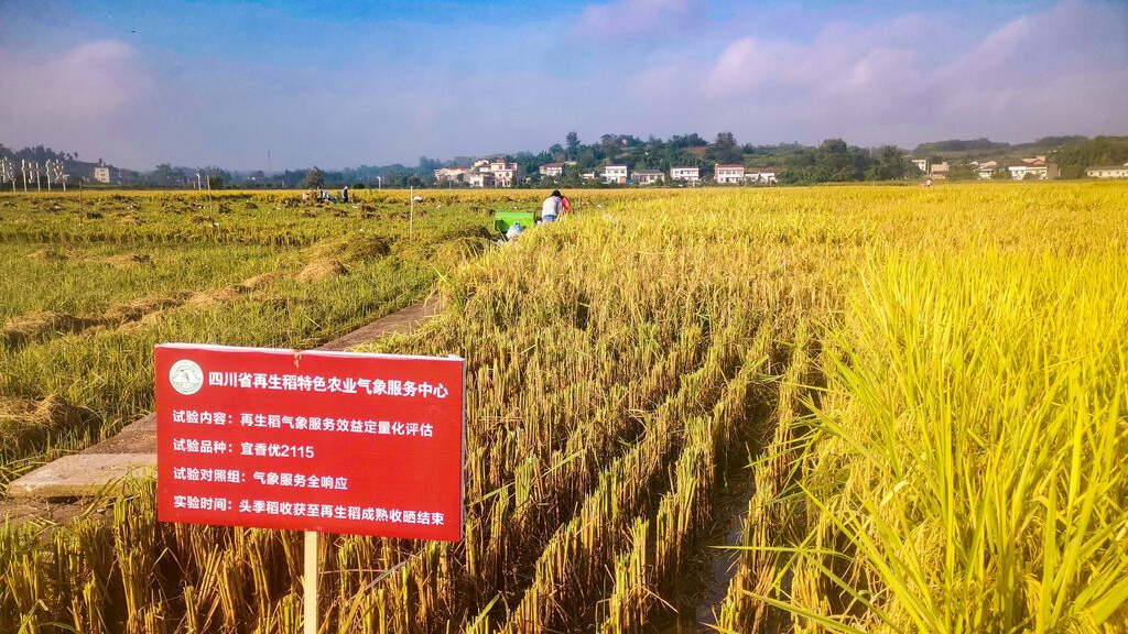 上探风云，下护粮仓，看自贡“低空+气象”如何双向赋能