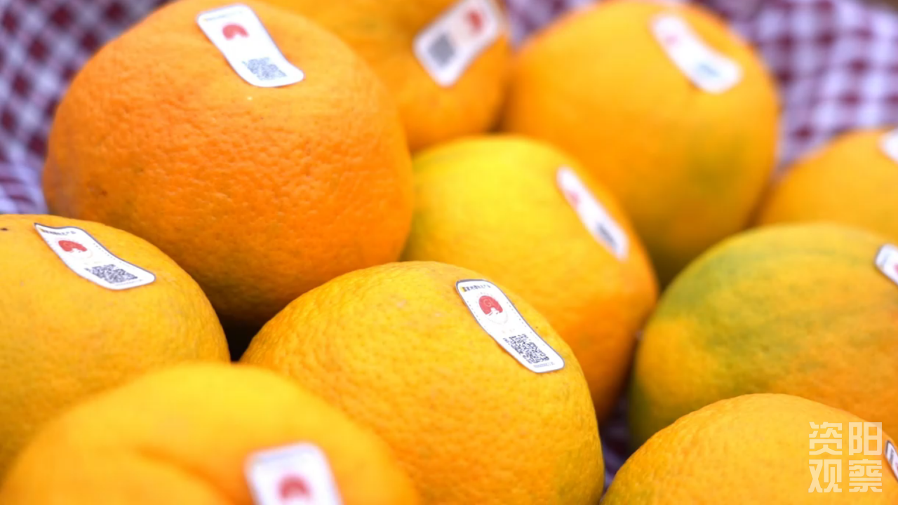 资阳：从“丰产愁”到“丰收甜” 雁江蜜柑全产业链逆袭