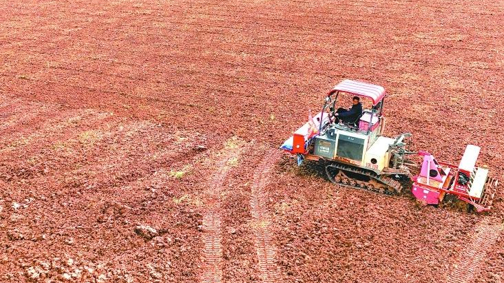 南充仪陇：“希望田”里孕育丰收新图景