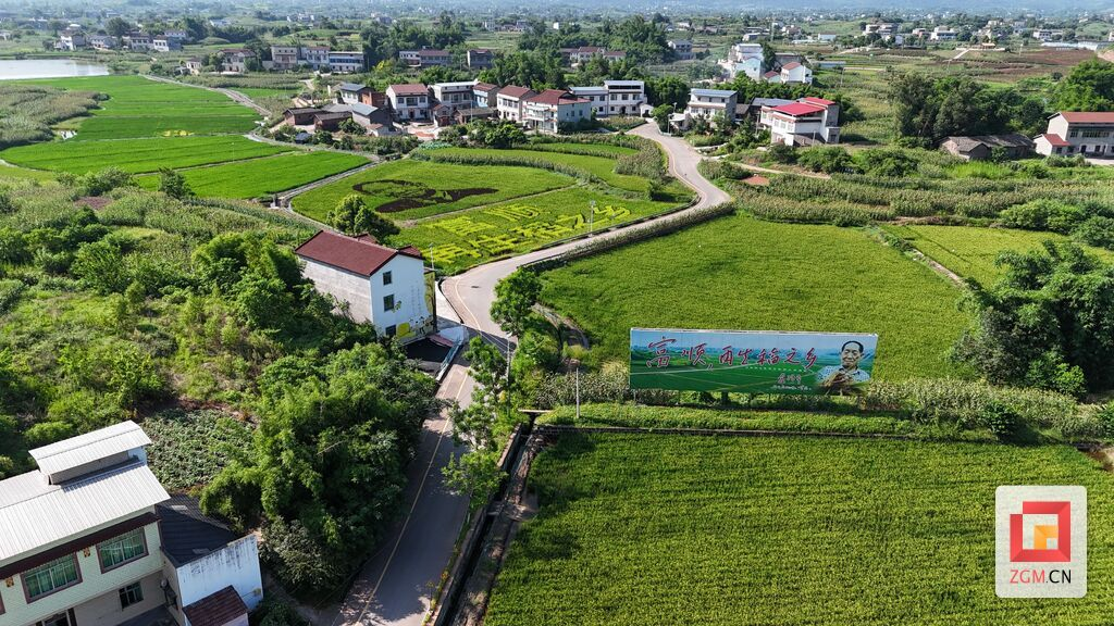 自贡市富顺县李子村：古树记得来时路 稻香铺就振兴途