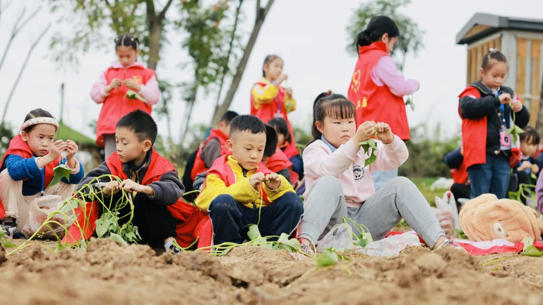 春秋假“首考”交卷，不应止于喝彩