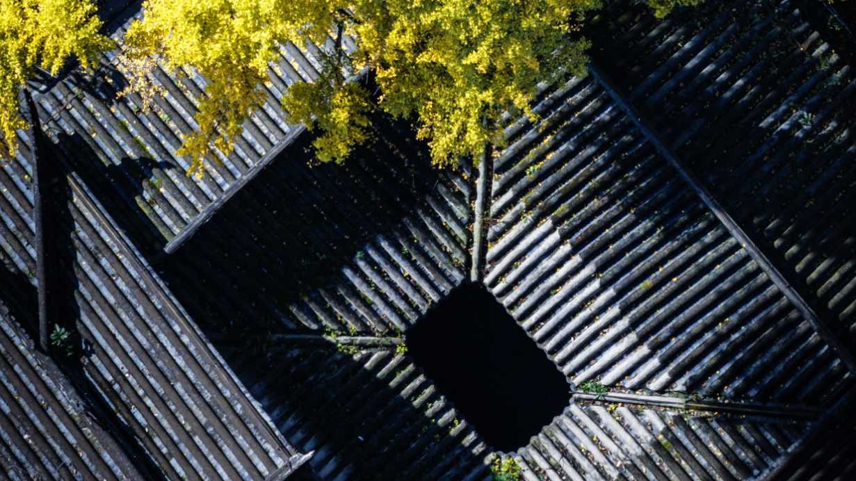 微周刊｜成都区（市）县党政“一把手”本周在忙啥