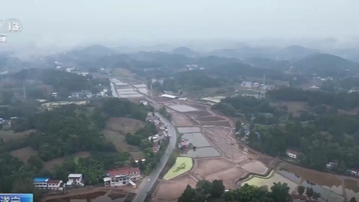 央媒看四川丨小龙虾错峰上市带动农民增收 四川遂宁实现“四季有虾”