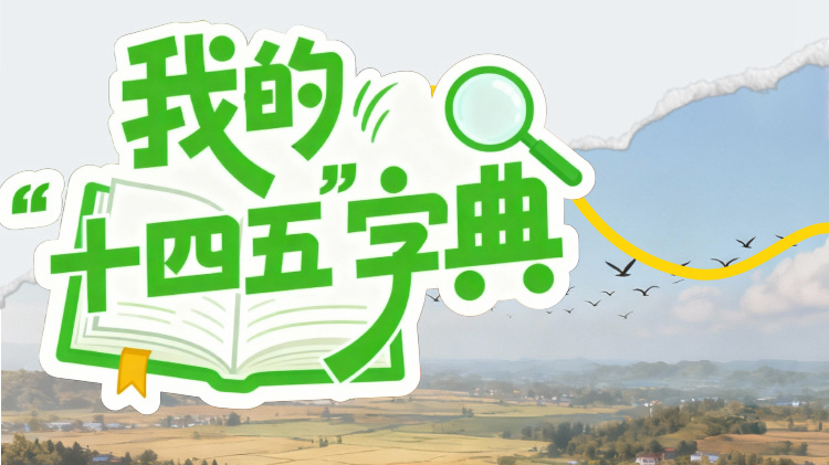 眉山永丰村种粮大户王元威：用上高科技，亩产创下个人种植新纪录丨我的“十四五”字典·满