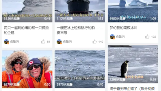 “南极鸡汤”，喝不下的“登味”