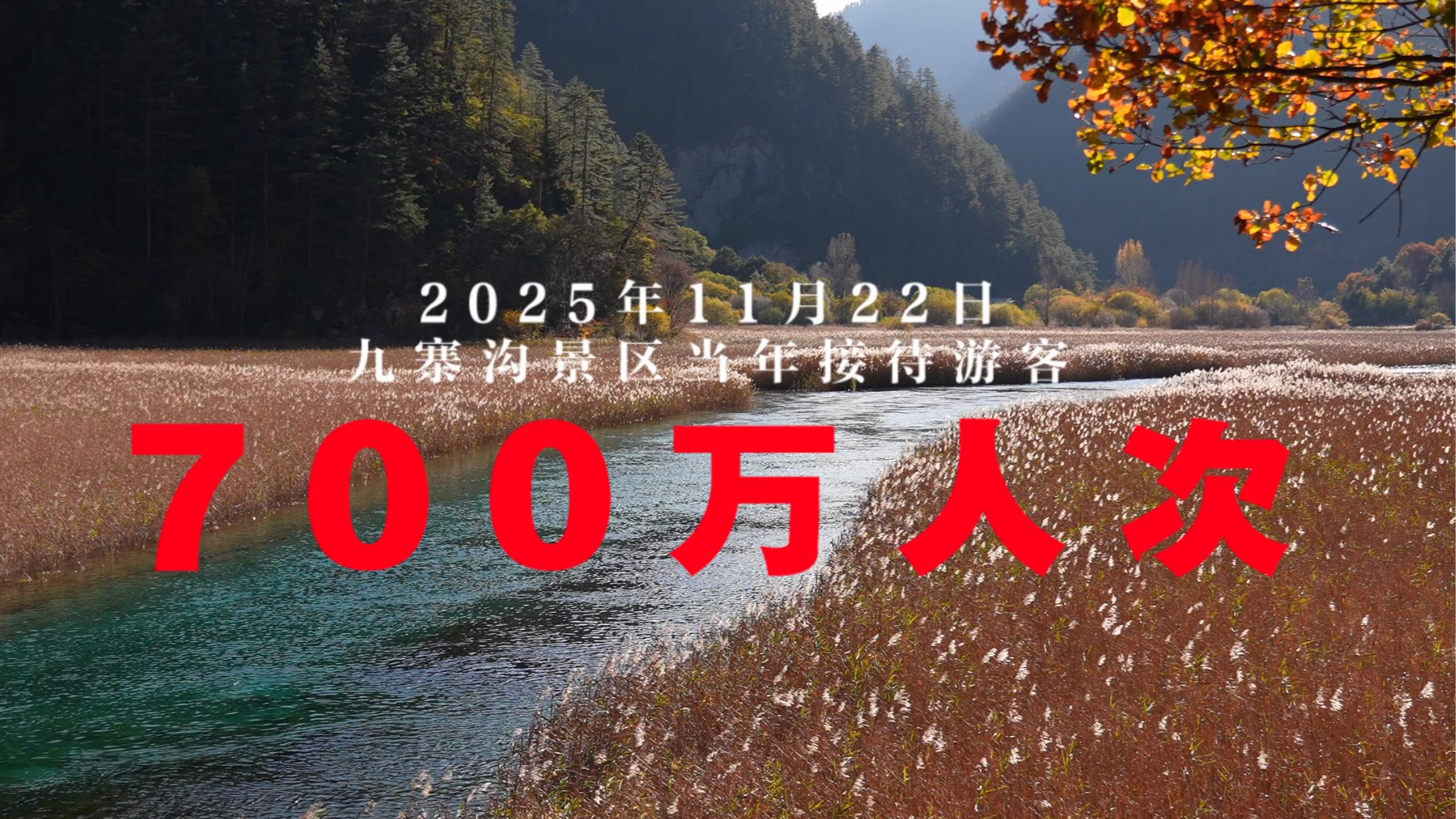 破解九寨沟超700万人次流量密码，揭秘生态保护背后鲜为人知的故事
