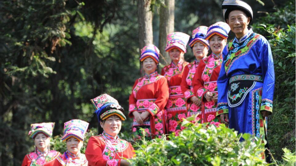 破圈！九顶山山歌“飞”出大山走向更广阔的舞台