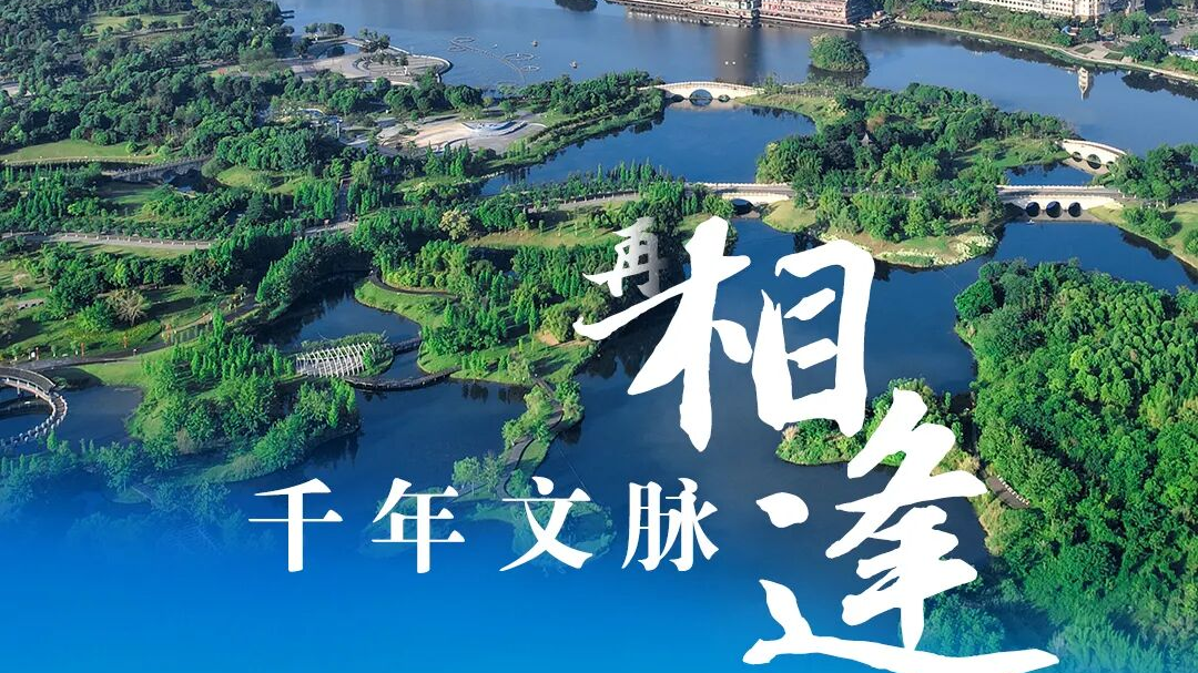 眉山与惠州，东坡文化联结下的双城共生记