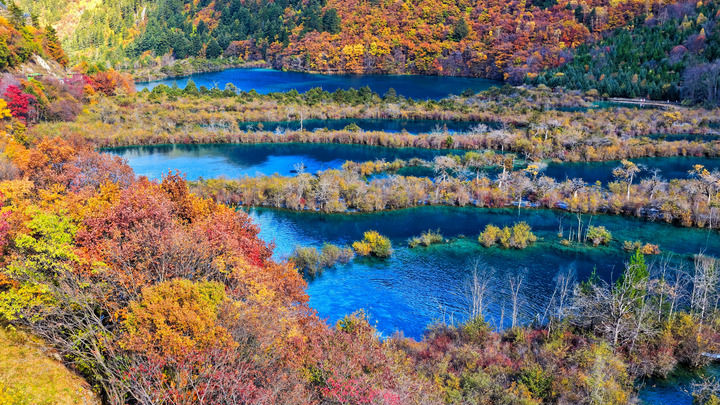 央媒看四川丨不简单！这个“沟”撑起百亿文旅产业