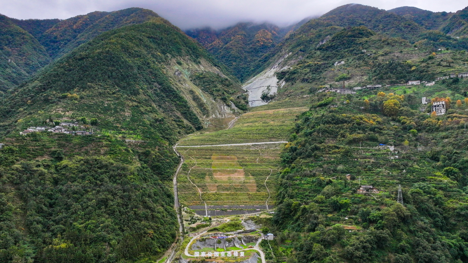 矿山新生，“愈”见大熊猫丨四中全会精神在基层