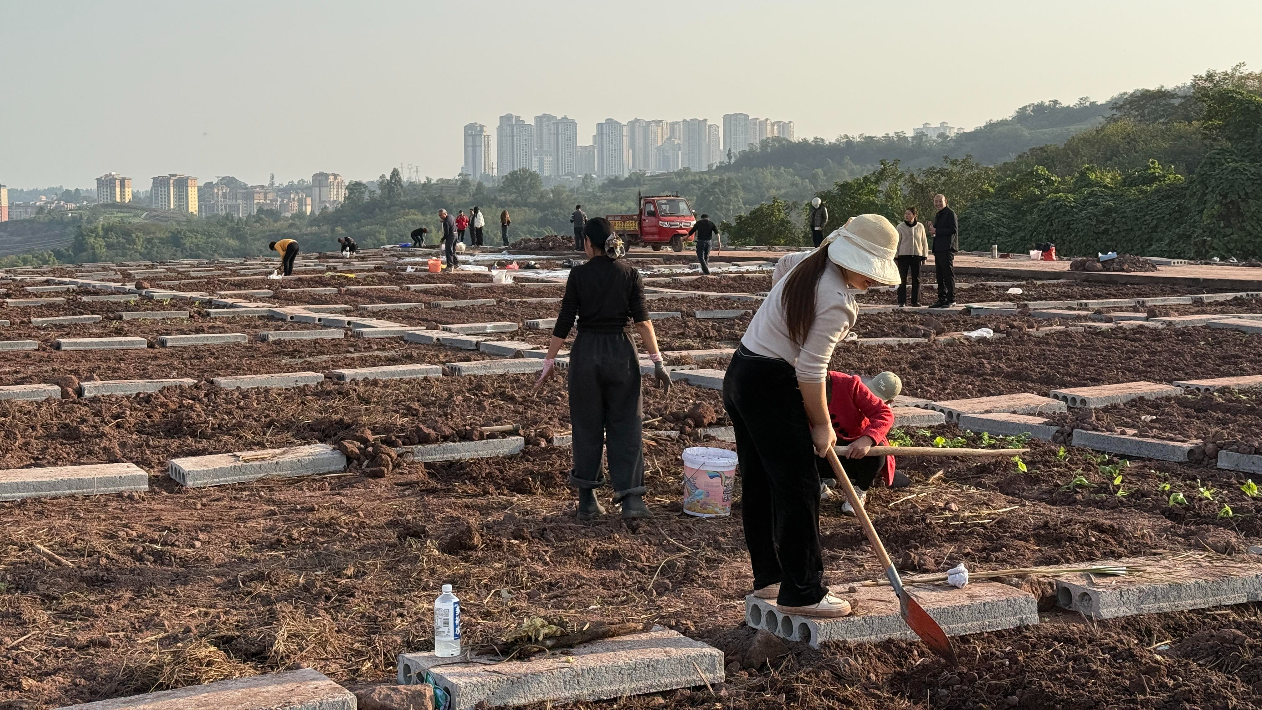 百元租地当“城市农夫”，四川广安版“QQ农场”火出圈