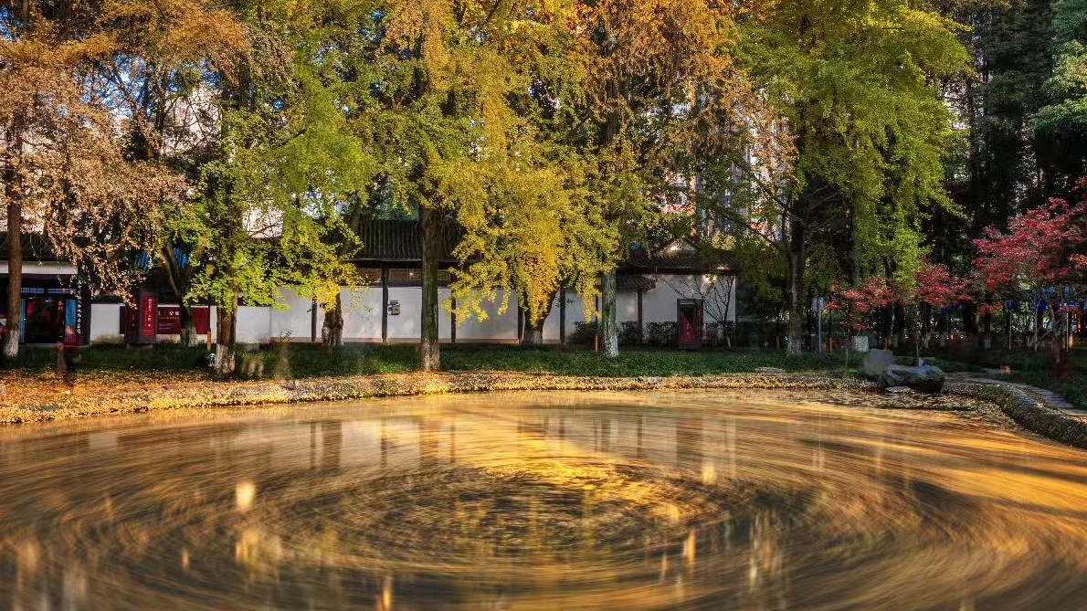 微周刊｜成都区（市）县党政“一把手”本周在忙啥