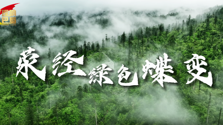 理响巴蜀丨荥经绿色蝶变