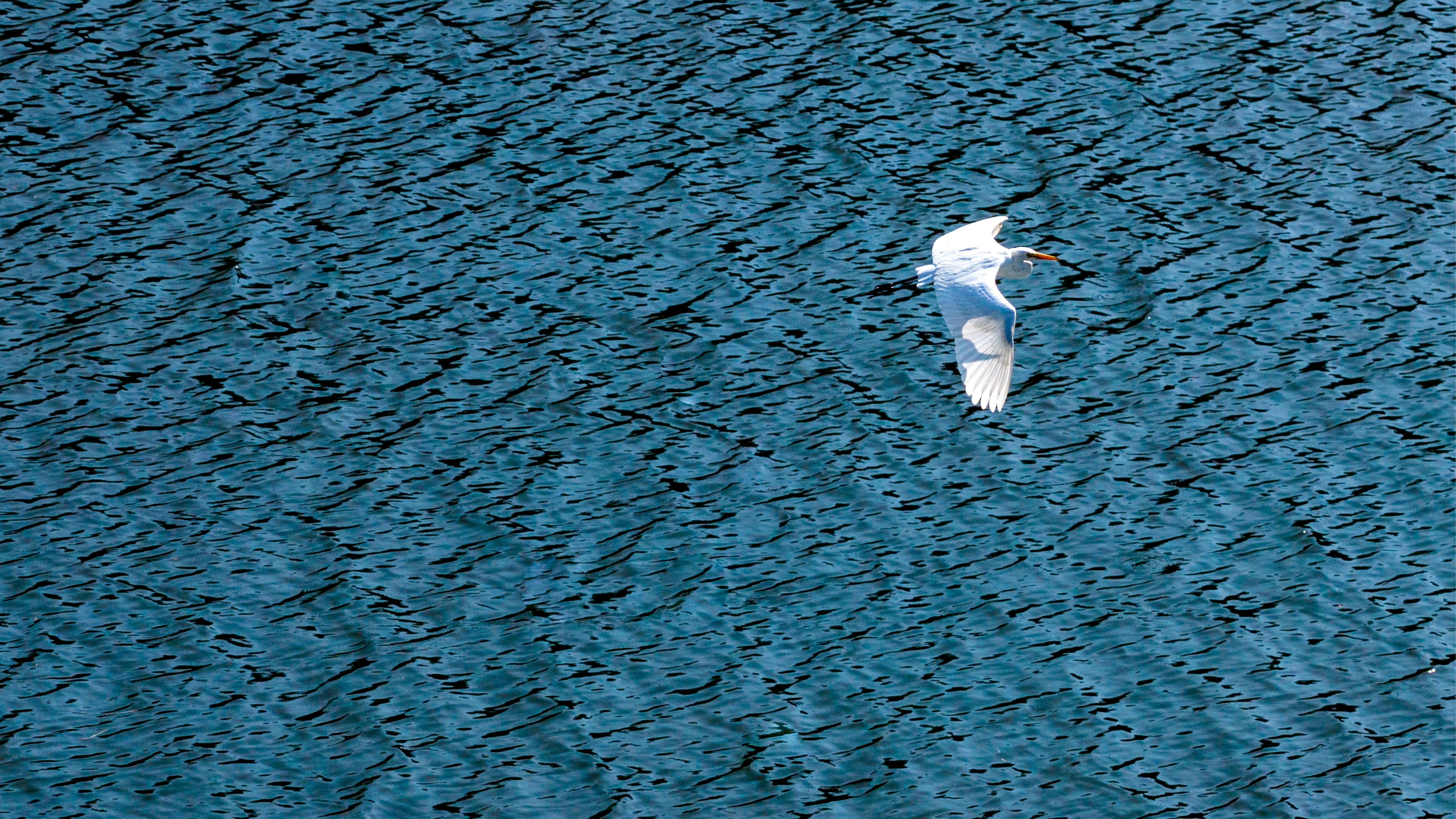 攀枝花：绿水青山的“生态答卷”