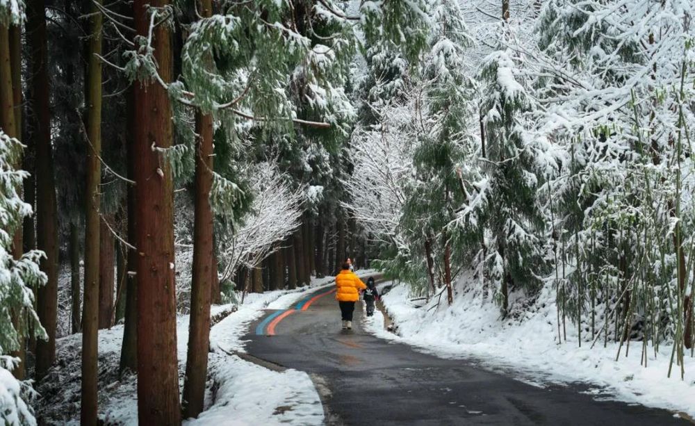 多地官宣“雪假”，四川要放吗？最新回应