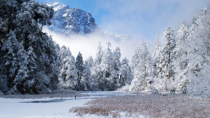 冬季里的“热力盛宴” 四川文旅市场释放冬季消费活力