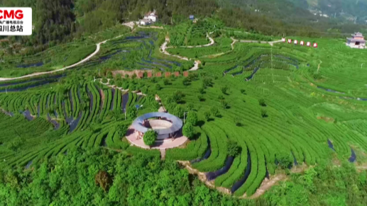 央媒看四川丨达州：北向跨境通道助力 川货陆路畅达中亚