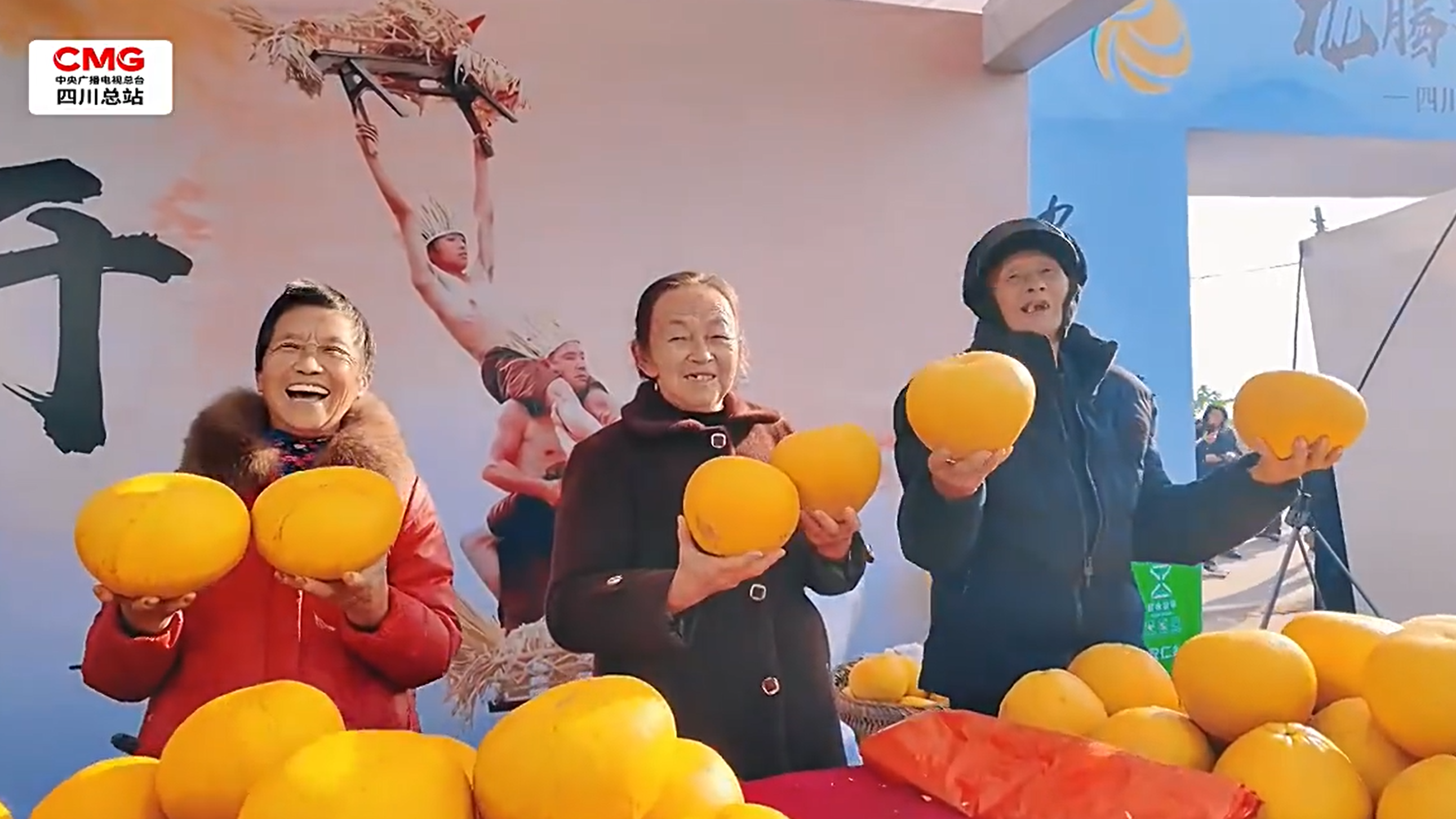 央媒看四川丨达州：百年安仁柚变身“文旅明星”