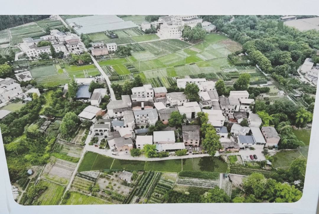 70多名艺术家扎堆安家 泗义村的魔力为啥这么大？