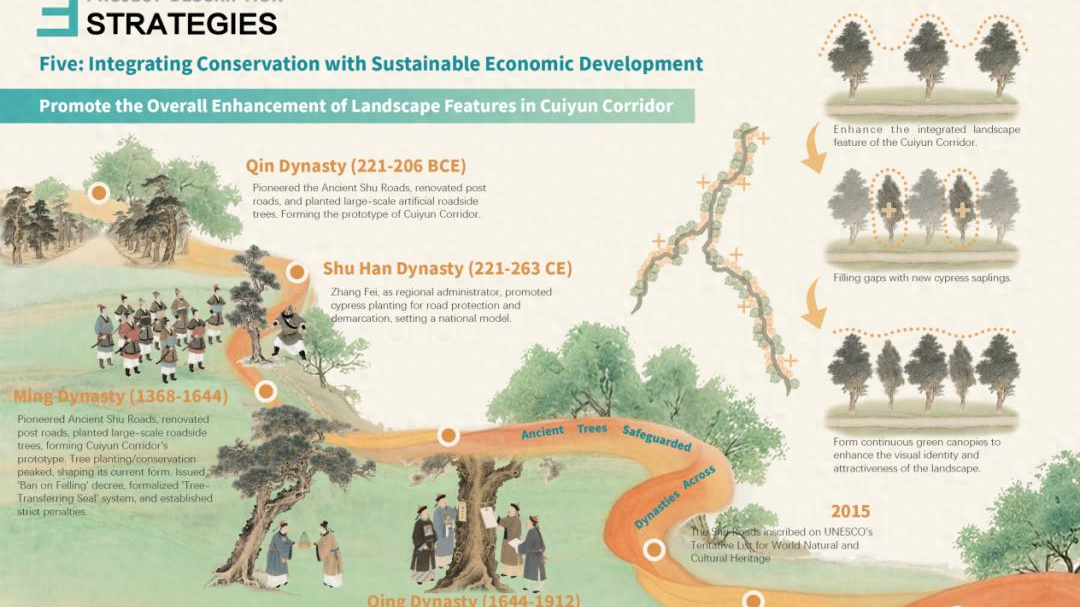 广元翠云廊古柏保护规划获国际大奖