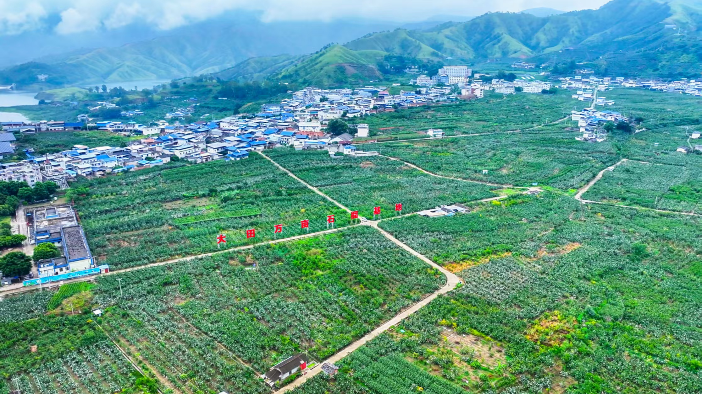 攀枝花：全域提质绘新景，乡村振兴给出“和美答卷”