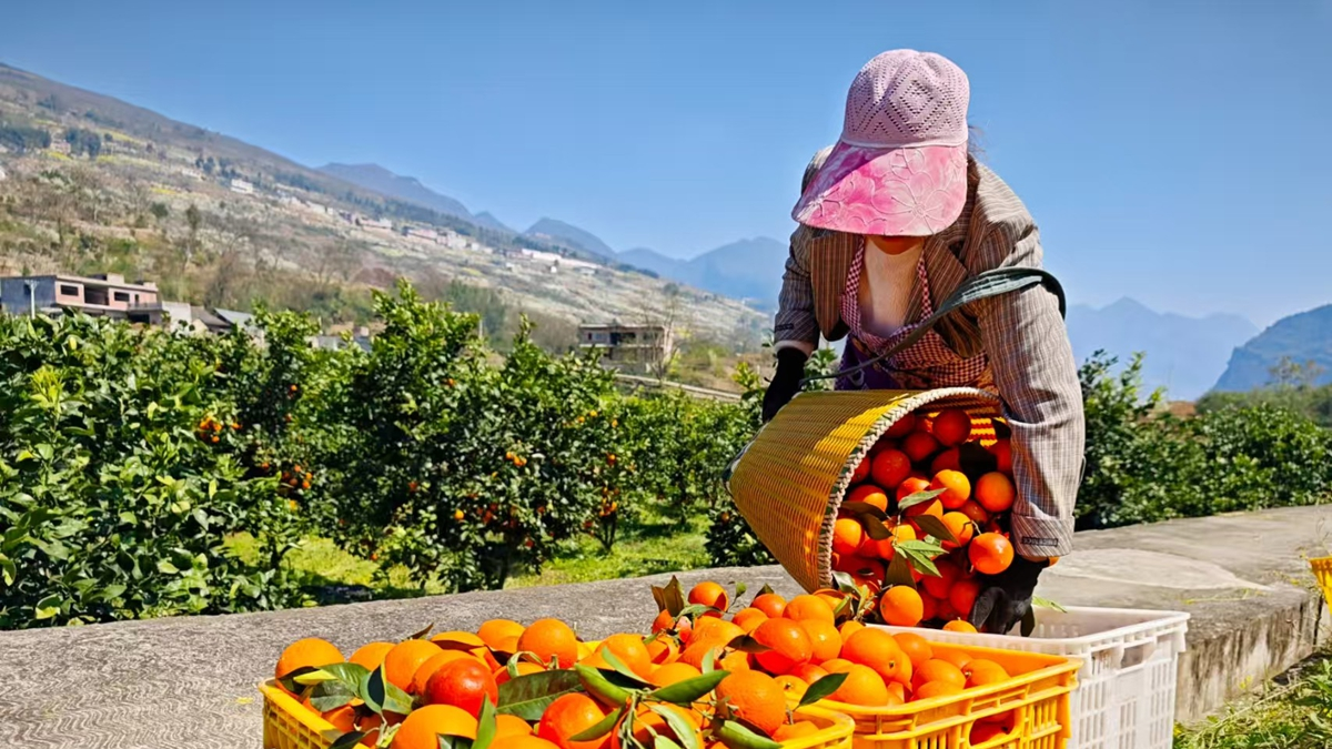 三省“手牵手”，产业“破界”向前走
