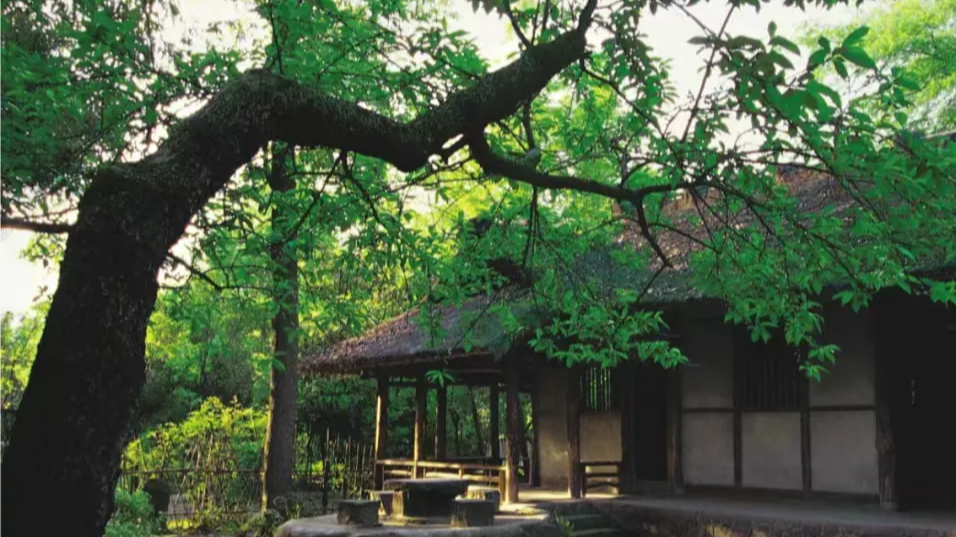 你以为他只是花间派，其实他还重建了杜甫草堂