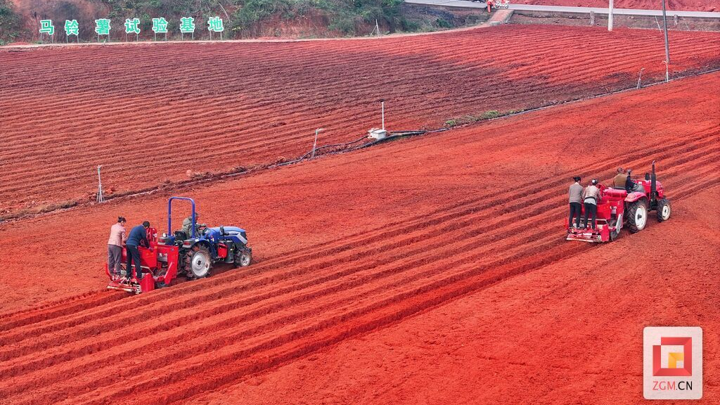 红土地的“薯光”：自贡马铃薯全链打造十亿产业