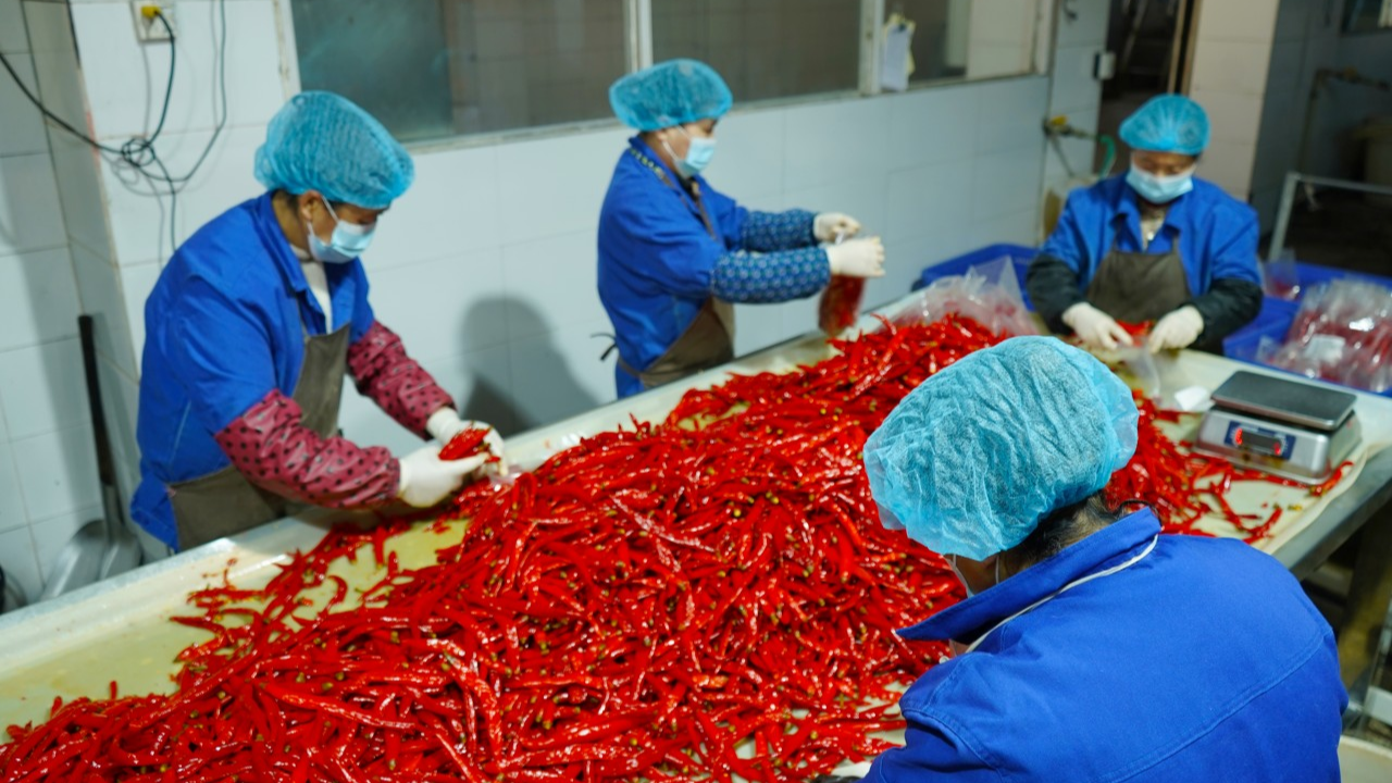 “老味道”开拓“新酿法” 看资阳酿造小镇如何实现产业新生