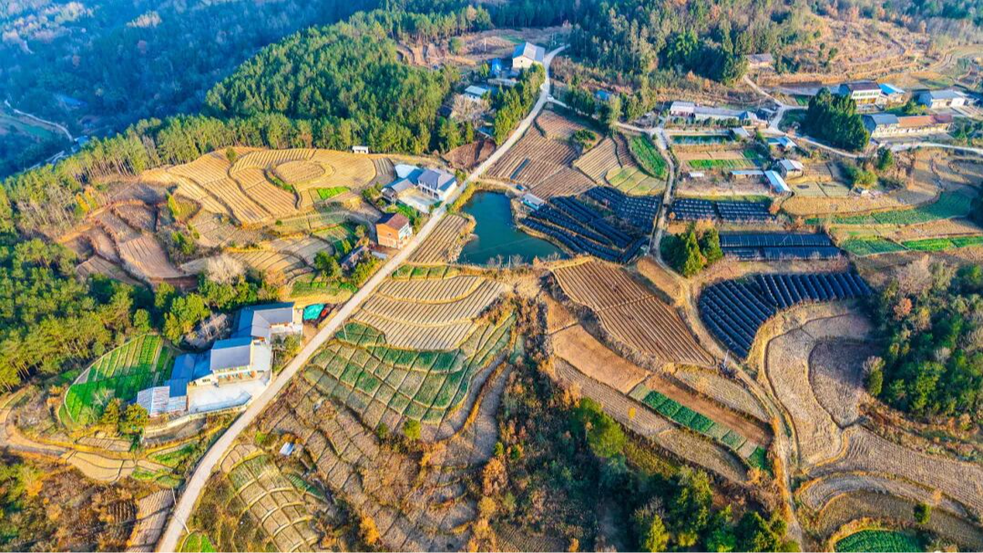 巴中平昌：深山“屠宰场”里的民生密码