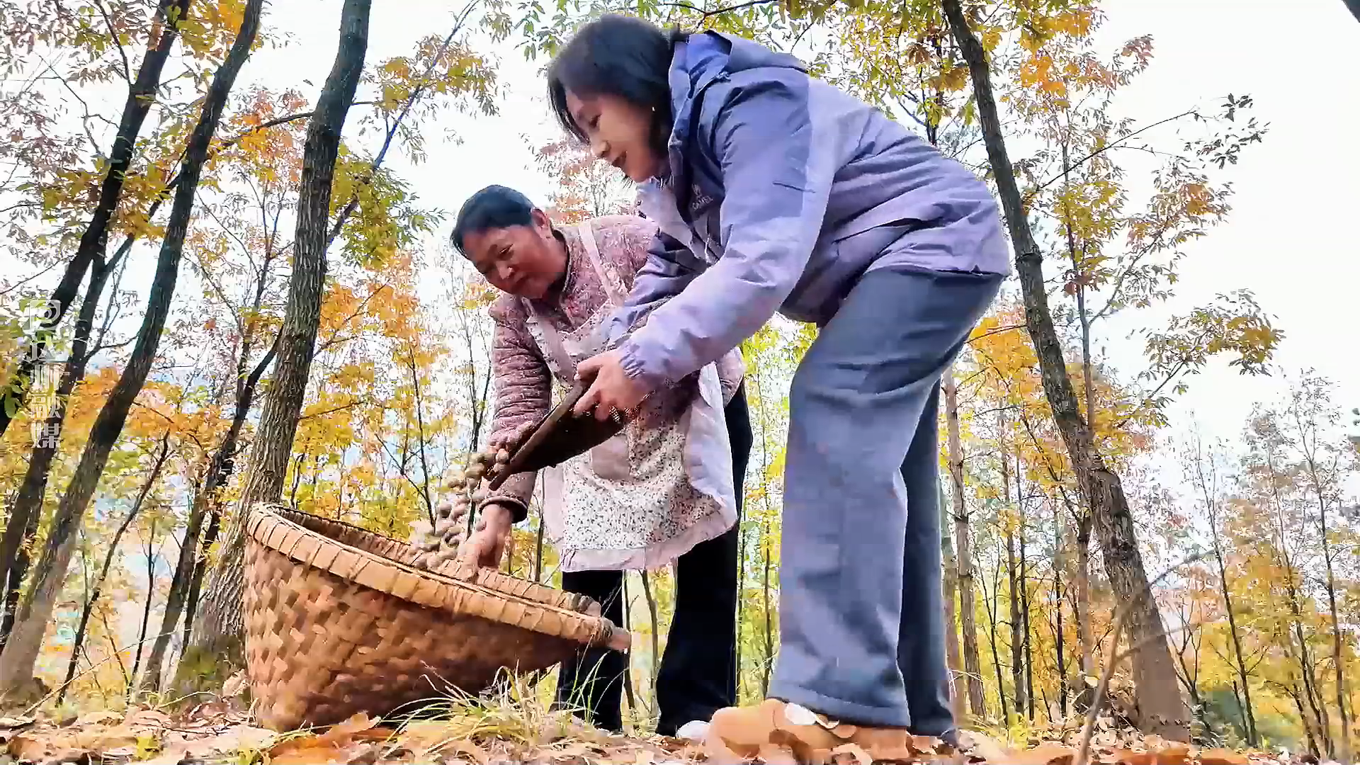微视频丨达州达川：一碗橡子凉粉 吃出山野香