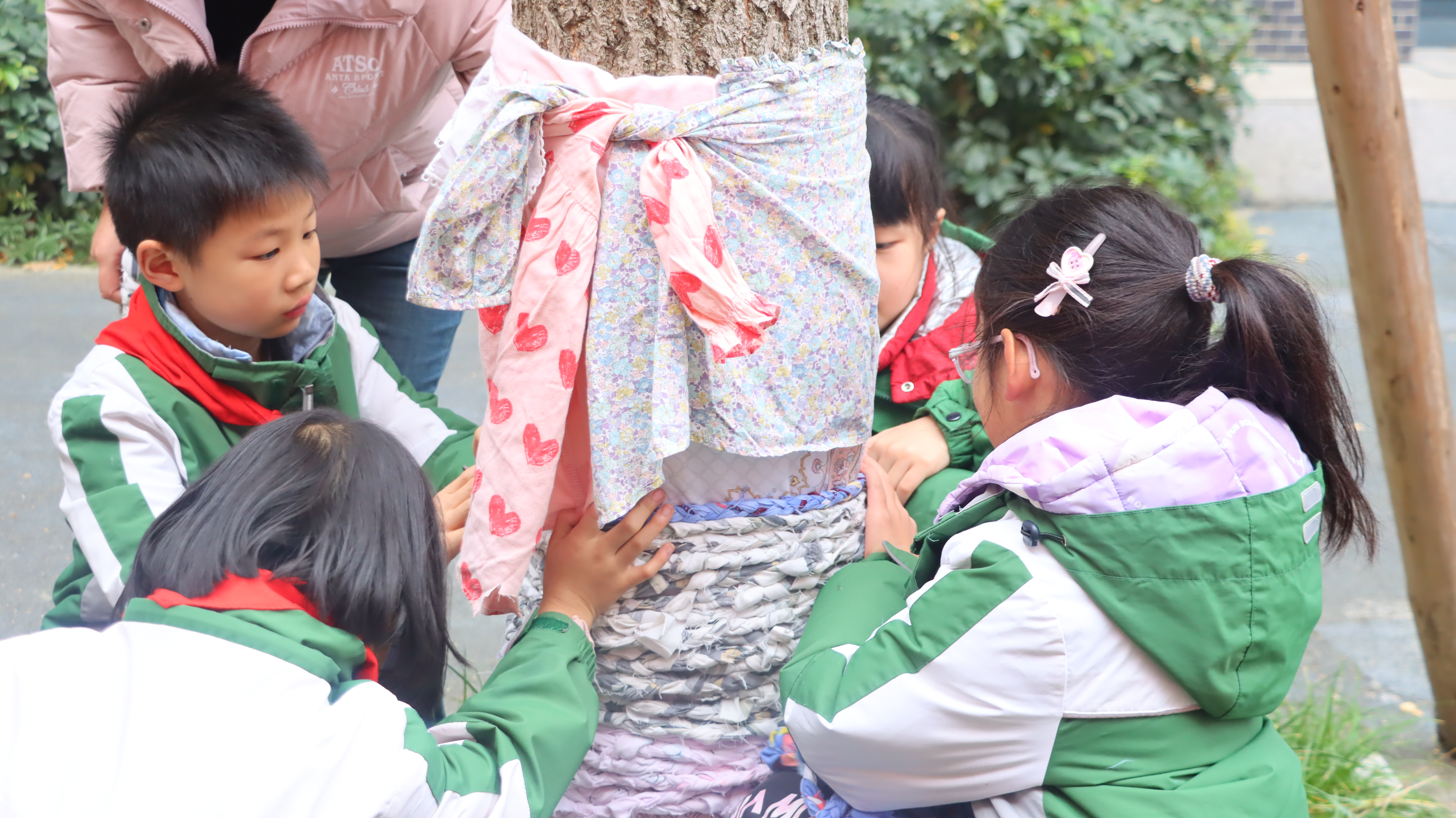 江安路学校开展“为银杏添衣”劳动实践活动