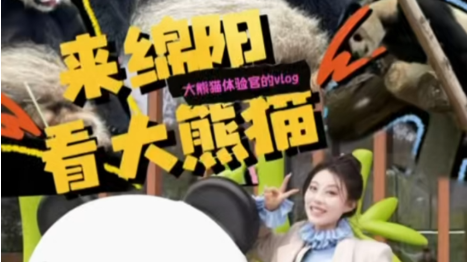 视频｜来绵阳看大熊猫，这份攻略请收好！