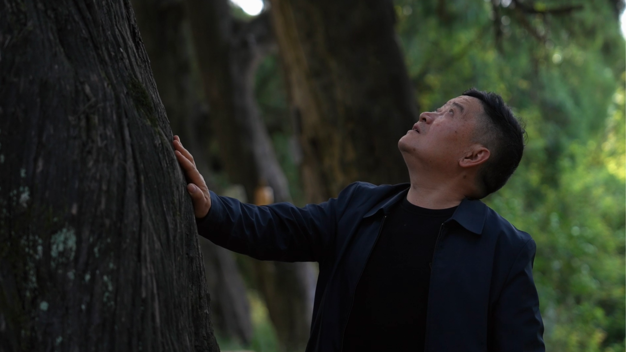 广元“网红”村支书陈冠兵：蜀道“义务推广员” 带村民吃上“旅游饭”