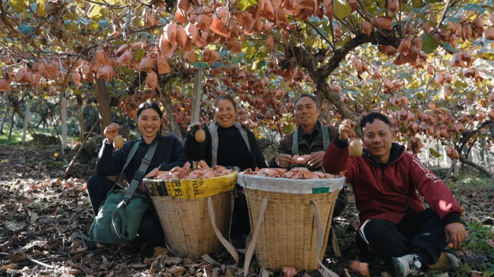贡嘎山下，宋华琼的三次出路