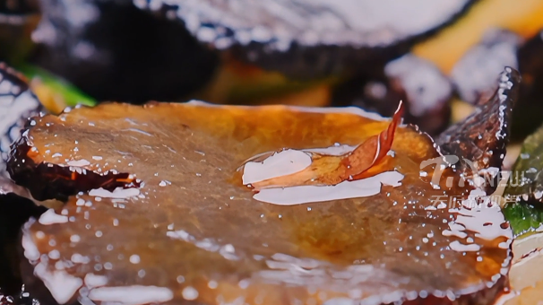 攀枝花黑松露：欧洲餐桌的“奢华”，是我们锅里的“家常”