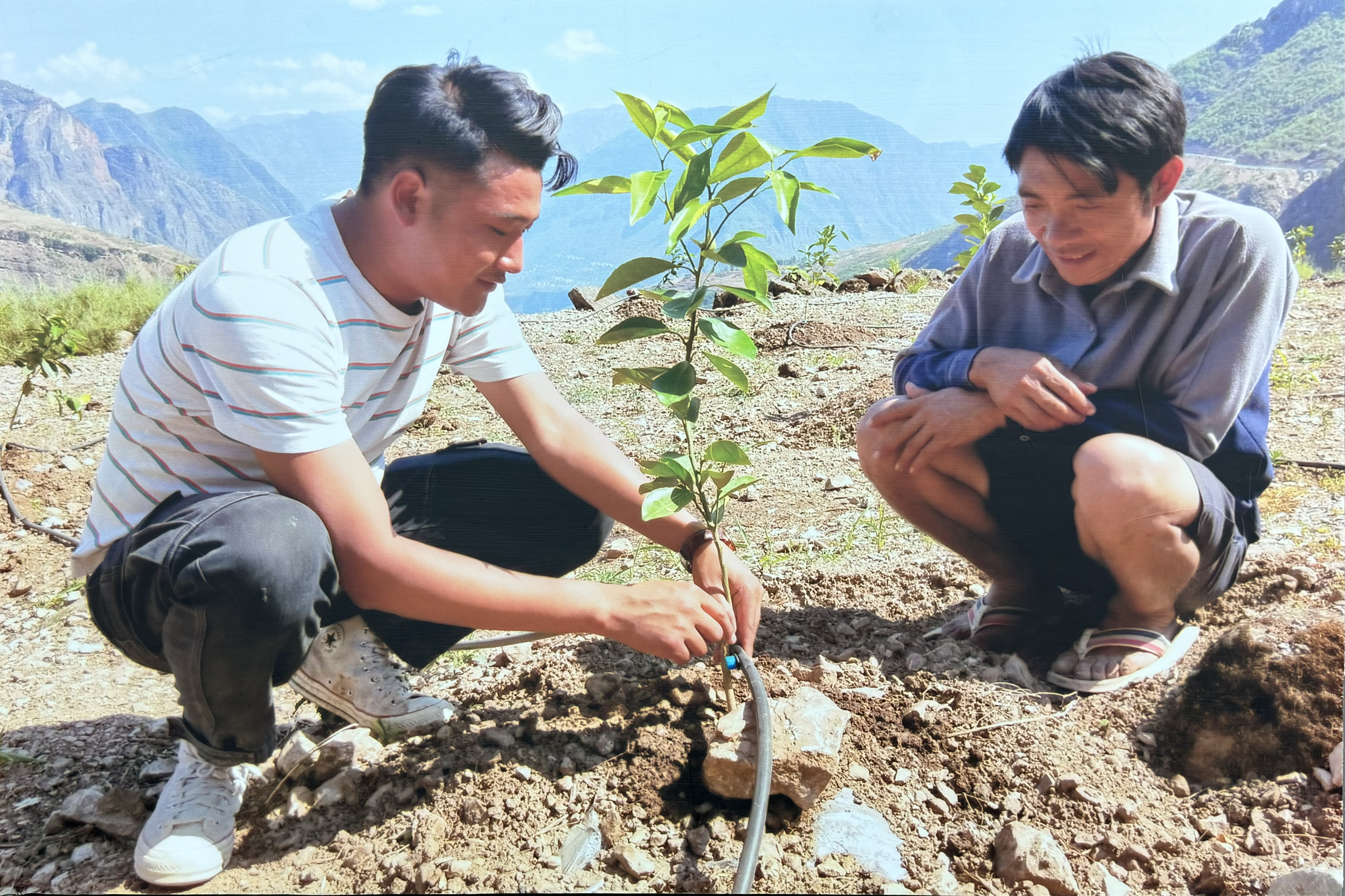 吉利子日和村民学习种植脐橙 拷贝.jpg