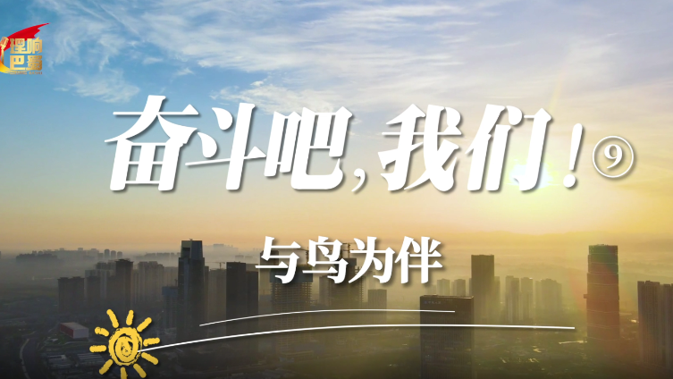 理响巴蜀丨奋斗吧，我们！⑨——与鸟为伴