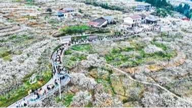 央媒看四川丨达州宣汉探索农文旅融合发展新路径——让农民“旅游饭”吃得更香