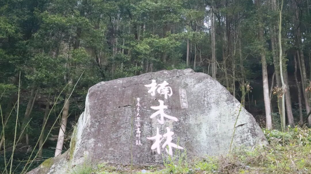 全国首例！资阳安岳携手重庆大足编制跨省级行政区村庄规划获批