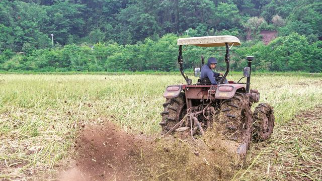 广安： 绿色实践算好“加减乘除” 乡村迈向“绿富美”