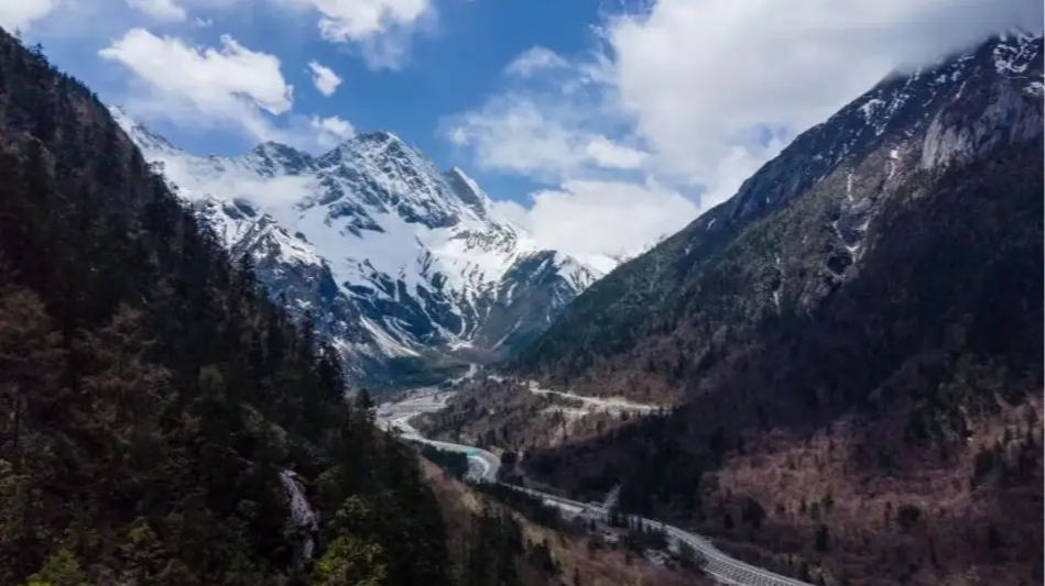 理小路的冰雪“流量密码”｜冰雪经济观察