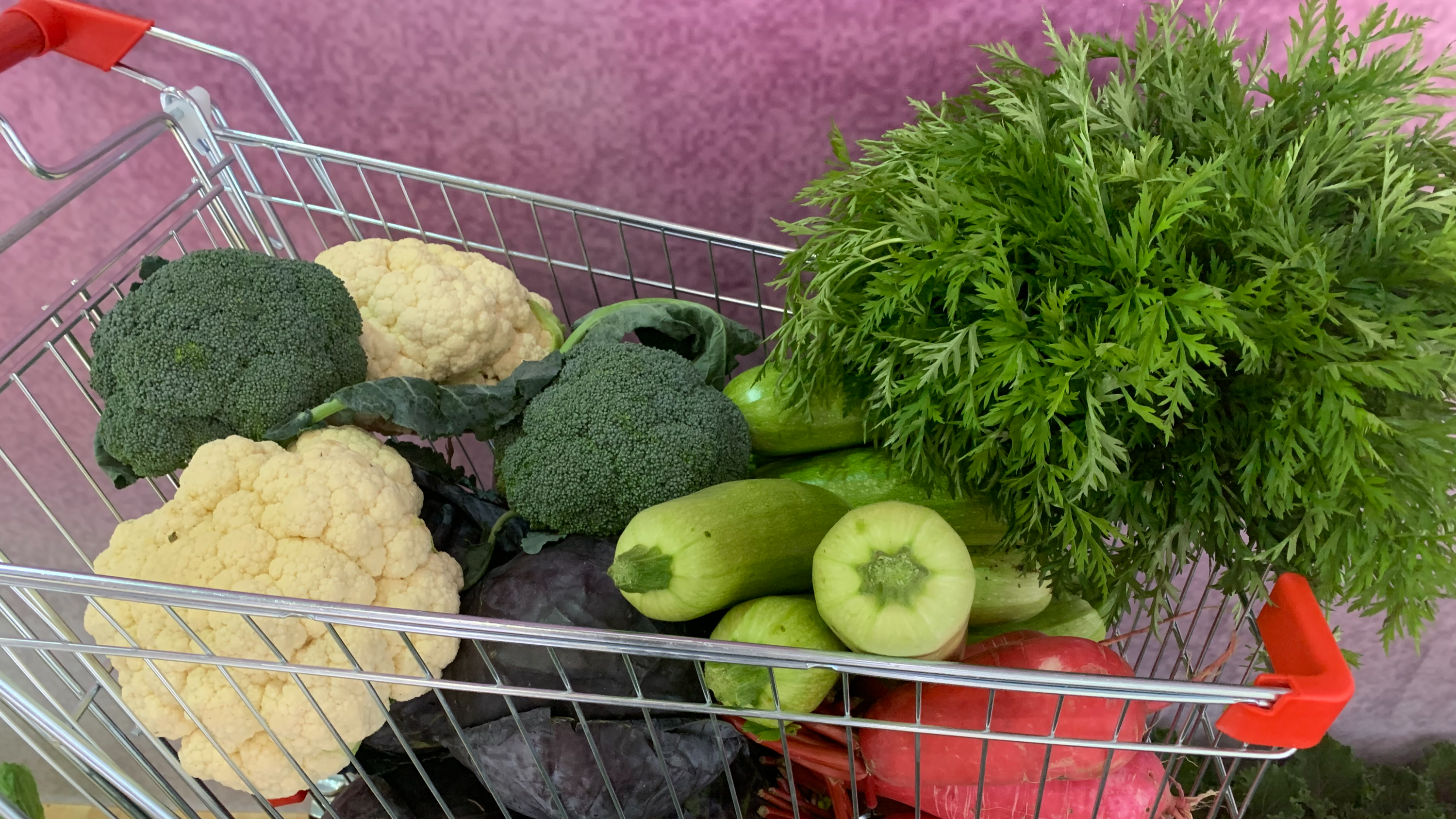 2025年全年全国居民消费价格与上年持平