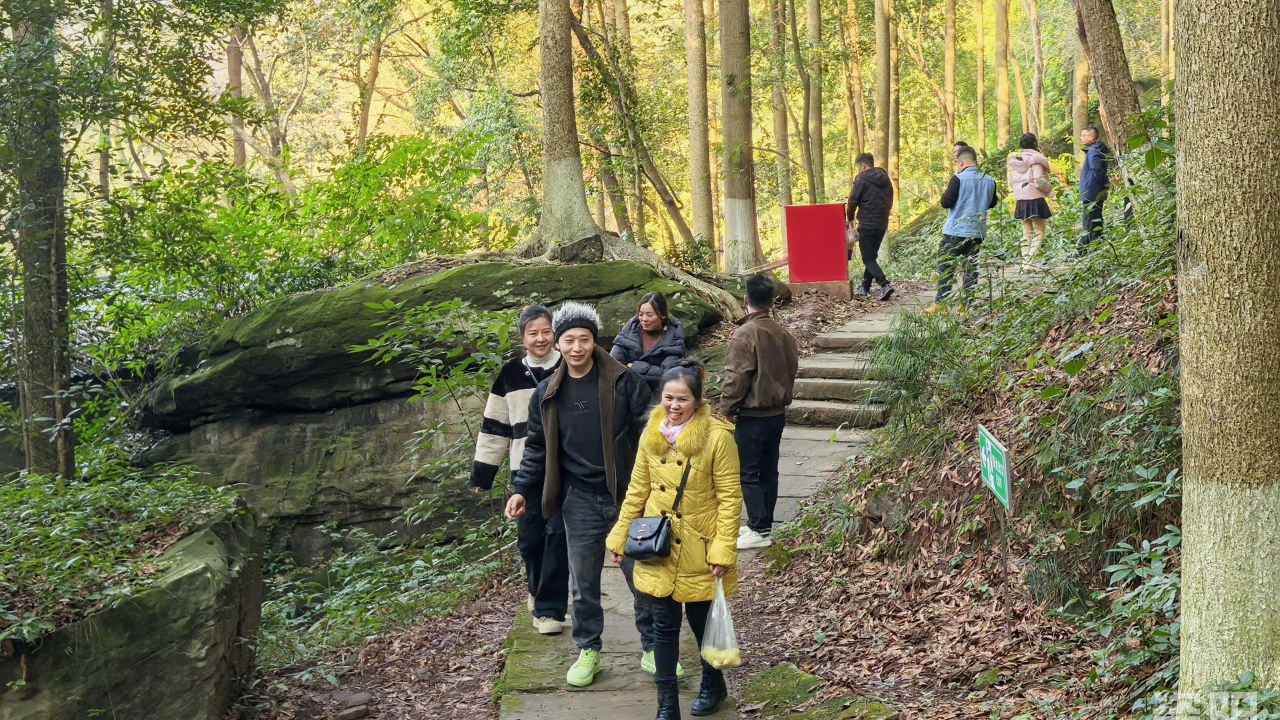 全国首例！一张规划如何管起川渝边界两个村？