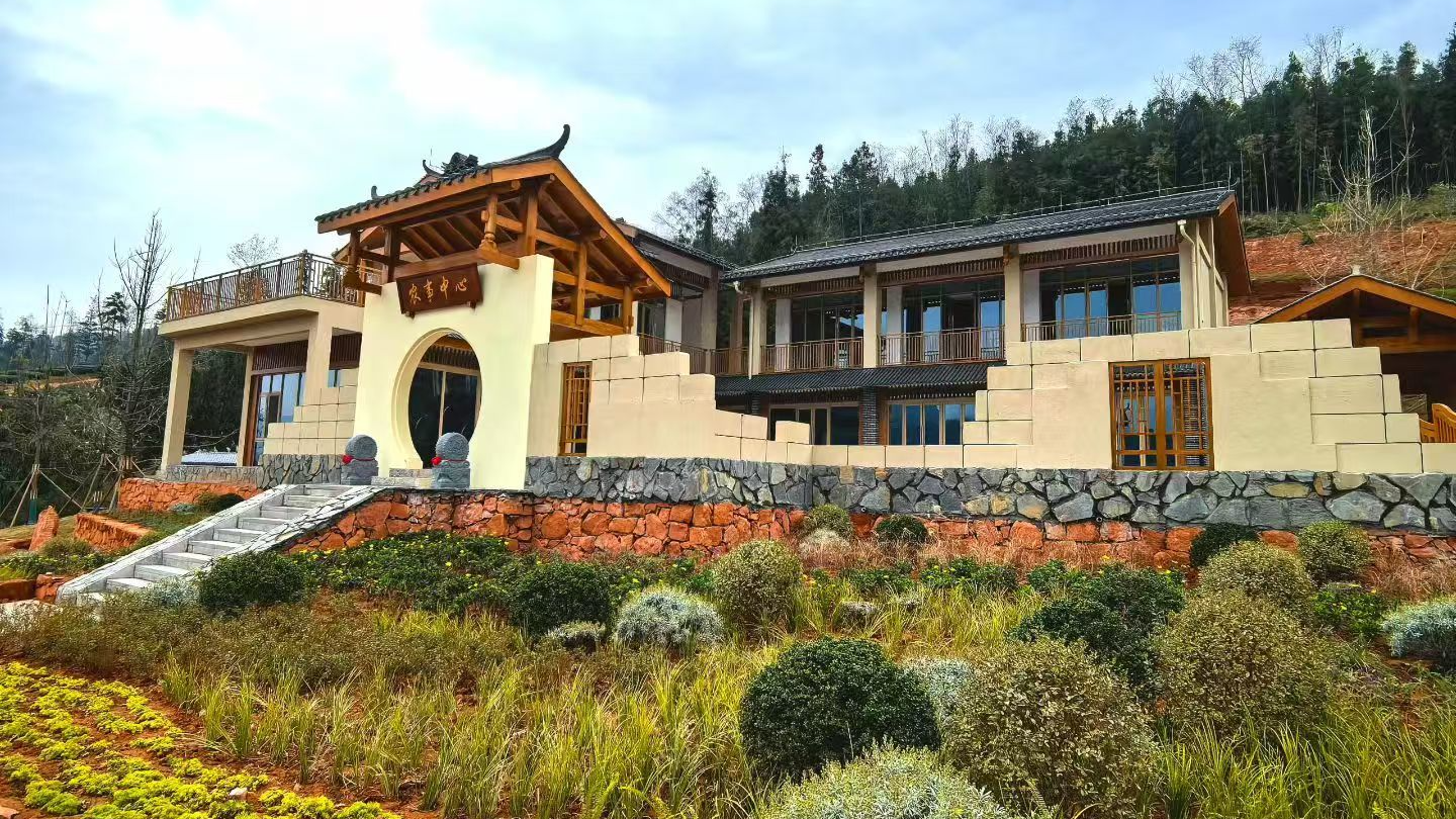 从“叶”迈向“业”——浙川东西部协作帮扶下的马边产业跃迁