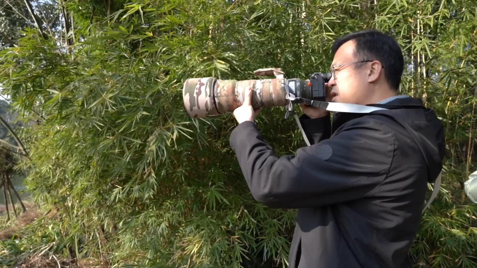 一群人坚守20年：成都的鸟语花香里有他们的故事｜这个五年“蜀”与我