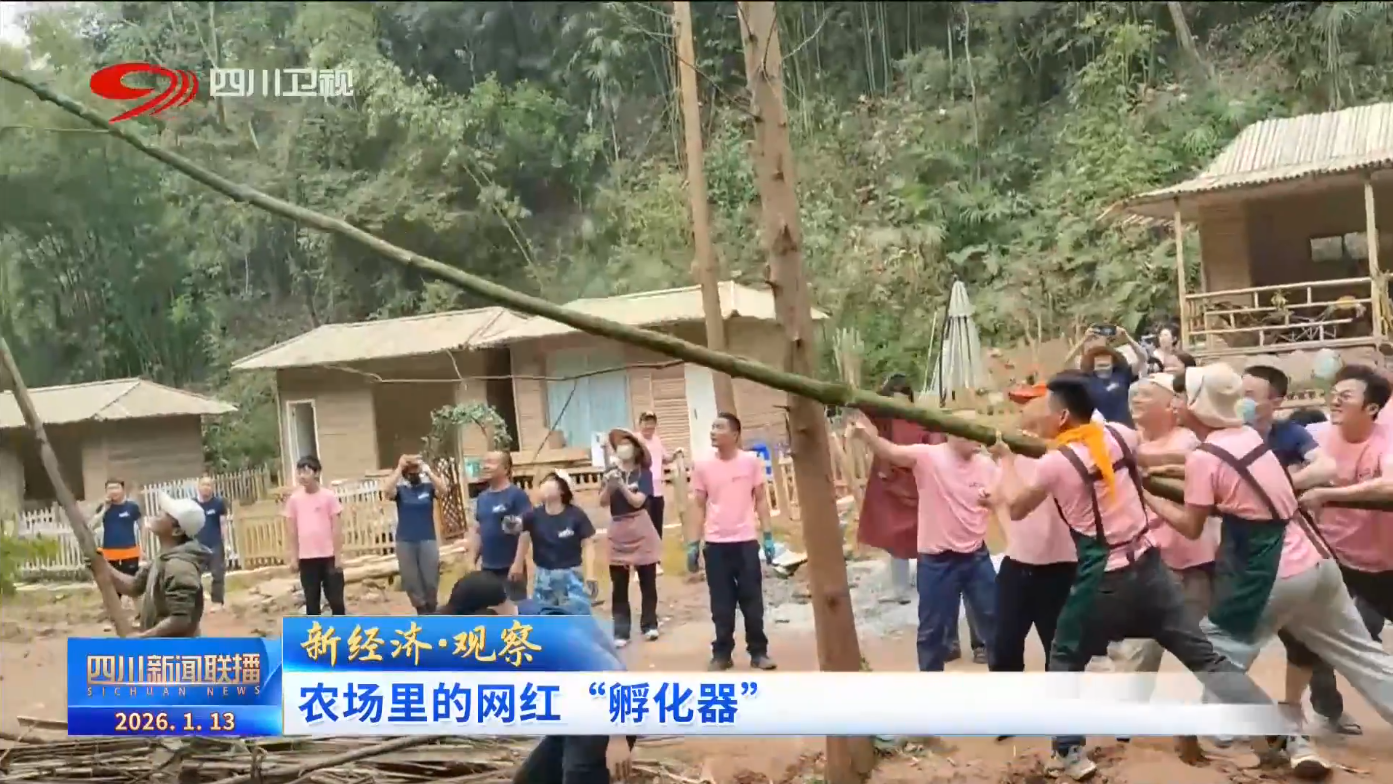 新经济·观察丨农场里的网红“孵化器”