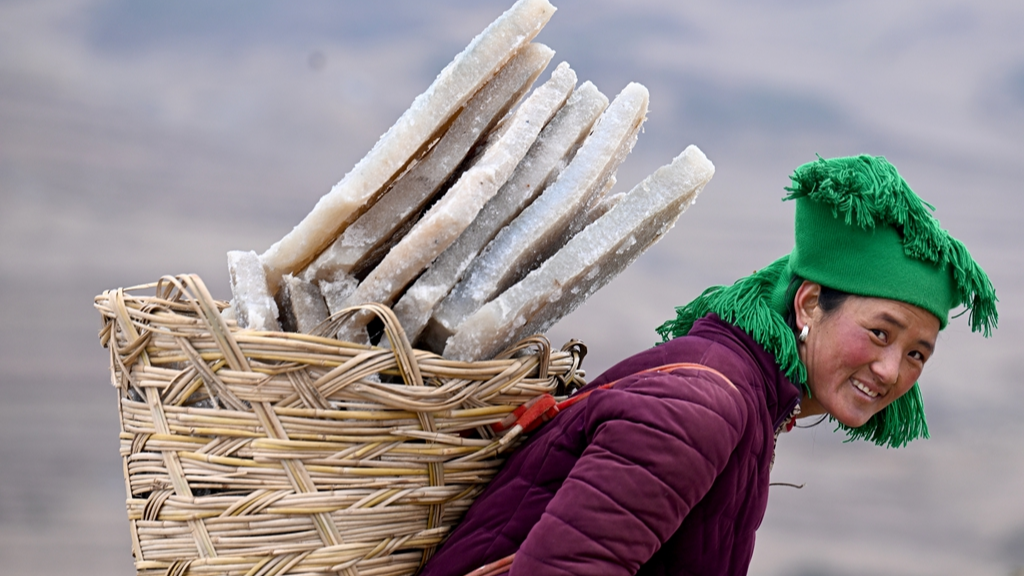 雪中魔芋：凉山金阳的冬日美味