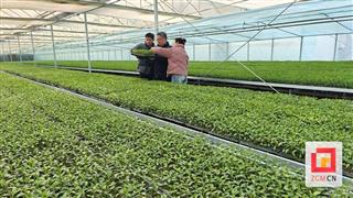 记者蹲点丨科技种菜，“鼎新”顶新！