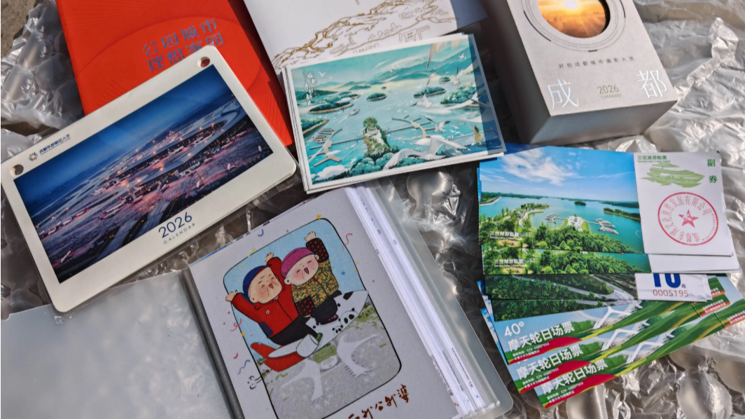 湖南姑娘为外公外婆求天府机场照后续来了：手绘漫画戳中泪点